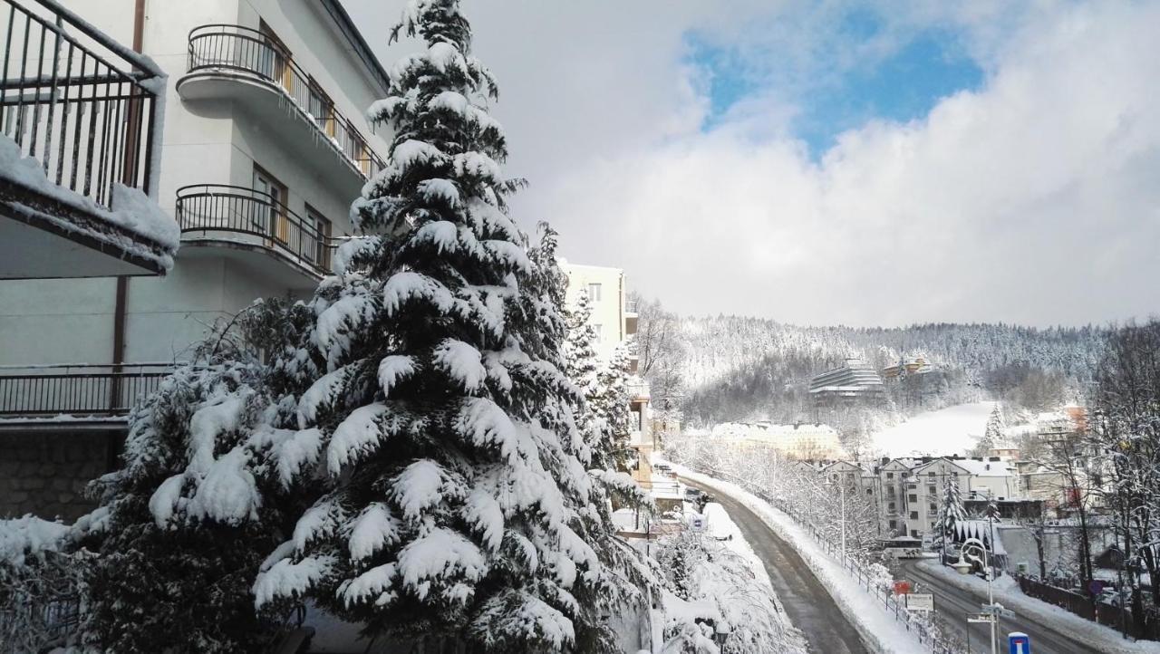Domy Wczasowe Tryumfy Bed & Breakfast Krynica Zdroj Dış mekan fotoğraf